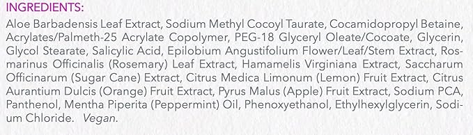 Salicylic Exfoliant Cleanser - Strong but Gentle Non-drying, Lightly Foaming Face wash with Salicylic Acid for Blackheads & Breakouts-Great for Oily & Acne Prone Skin 6oz