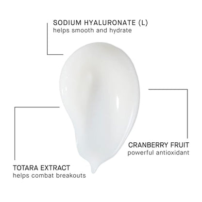 ARCONA Magic White Ice - Daily Oil Free Moisturizer - Hyaluronic Acid Moisturizer with Organic Aloe, Tea Tree, Vitamin C & Glyercin -Made In The USA