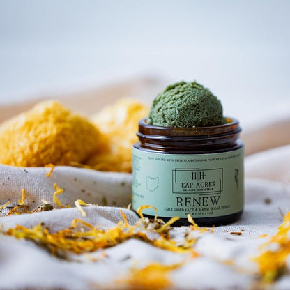 Emulsified Face Sugar Scrub, Organic squalane oil/Castor oil: Tremella Mushroom/Chamomile/Gotu Kola/Calendula/White Kaolin Clay, Manuka Honey-Gentle exfoliant-Dry/Sensitive/Mature skin (RENEW)