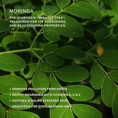 Sahajan Essential Balance Toner with Vitamin C + AHA's | Ayurvedic Clean Gentle Daily Glow Facial Toner | Exfoliates, Refines Texture, Balances, Hydrates | 4 fl oz