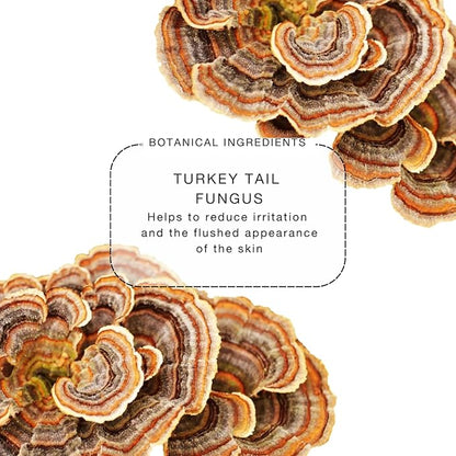 biba de sousa The Micellar Water, No-Rinse Cleanser & Facial Makeup Remover - Soothing Cleanser for Sensitive Skin - For All Skin Types (8oz)