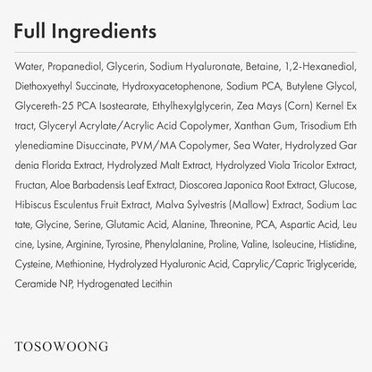TOSOWOONG Hyaluronic Acid 3% Serum, 30,030ppm Sodium Hyaluronic Acid, Hydration, Moisture Boosting Facial Serum for Fine Lines & Wrinkles, Plump & Repair Dry Skin, Korean Skin Care, 30ml, 1.01 fl.oz.